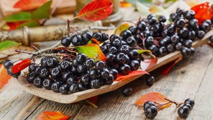 Aroniabeeren auf einem Holzbrett angerichtet