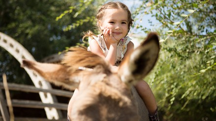 Ein Mädchen auf einem Pferd