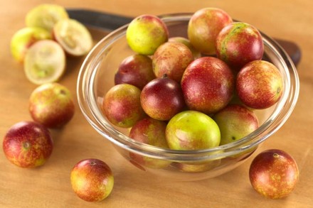 Eine Schale voller Camu Camu Beeren