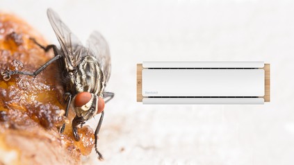 Werbebild auf dem eine Fliege, die auf einer Frikadelle sitzt, neben dem Rentokil Insektenschutzgerät gezeigt wird