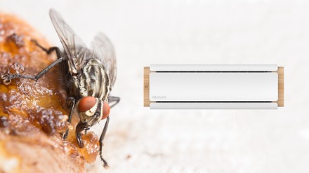 Werbebild auf dem eine Fliege, die auf einer Frikadelle sitzt, neben dem Rentokil Insektenschutzgerät gezeigt wird