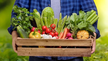 Mann auf einer Wieser mit frischem Gemüse in der Hand