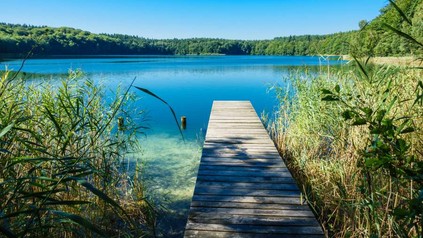 Steg am See