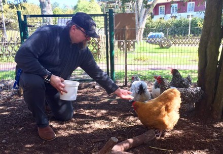 Mann füttert Hühner per Hand