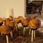 Cakepops aus Roggenbrot