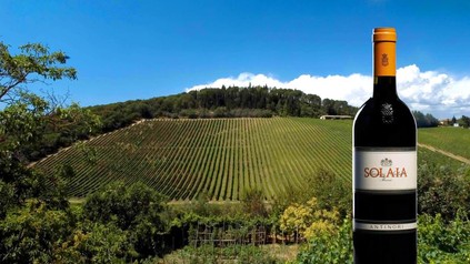 Weingarten mit Solaia-Flasche im Vordergrund