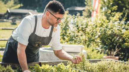 Achim Hack im Kräutergarten