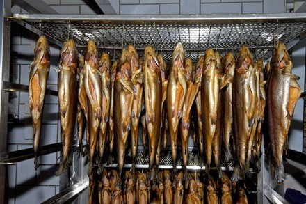 Heute erleben die zahlreichen Varianten des Räucherns eine Renaissance in der Gastronomie. (©Eberhard/Fotolia)
Eine Vielzahl geräucherter Makrelen in einem Räucherofen