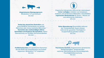 Kriterien des Domino's Pork Commitment