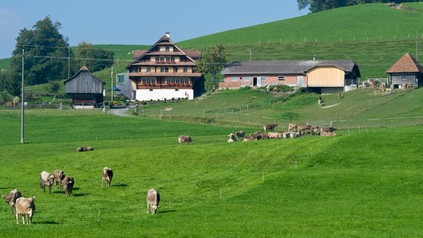 Schwarzenberg Bauernhof Scharmoos