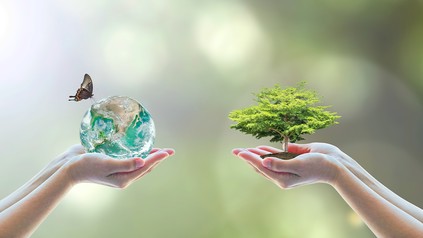 Zwei Hände halten einen kleinen Baum und eine Weltkugel