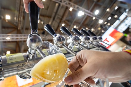 Eine Zapfanlage, mit welcher ein Glas Bier eingeschenkt wird