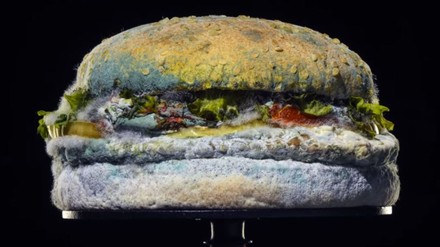 verschimmelter Whopper