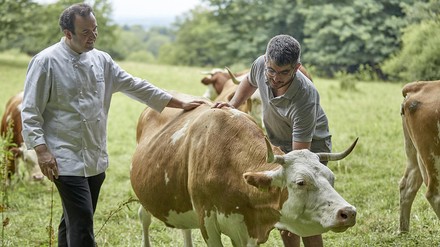 Initiative der „Bio-Spitzenköche“
