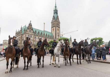Polizei Reiterstaffel Hamburg G20-Gipfel