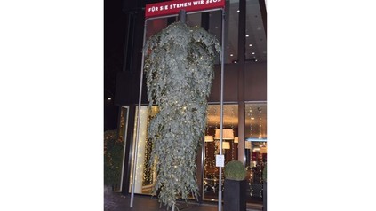 Verkehrt aufgestellter Christbaum vor dem Marriott in Zürich