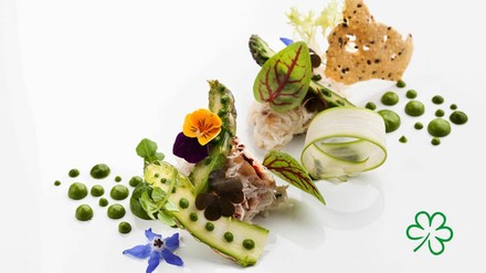 Fine Dining Signature Dish mit dem grünen Kleeblatt von Guide Michelin