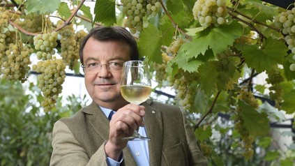 Willi Klinger