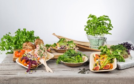 recycelbares Einweggeschirr