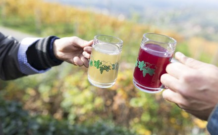 Gelbes und rotes Getränk