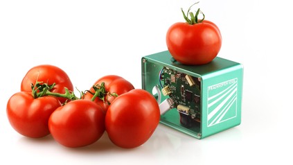 Eine Handvoll Tomaten neben einem elektrischen Gerät