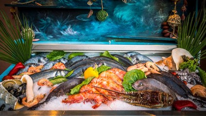 Eine frische Fischtheke mit Eis