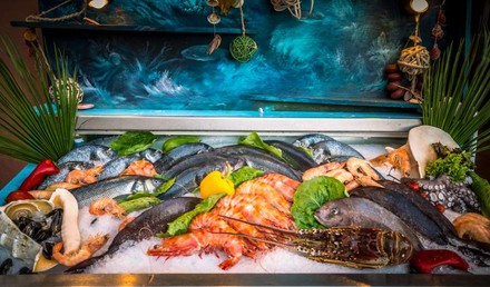 Eine frische Fischtheke mit Eis