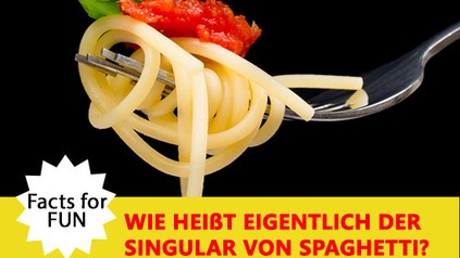 Facts for fun Wie heißt eigentlich der Singular von Spaghetti?