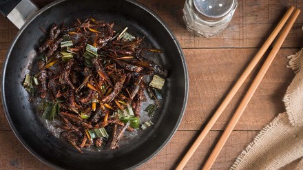 Chinesisches Gericht mit Heuschrecken in einer Pfanne präsentiert