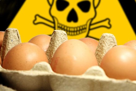 Eier in Karton, dahinter ein Totenkopfsymbol
