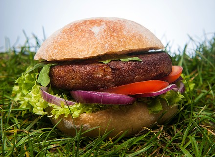 Ein Burger in einer Wiese