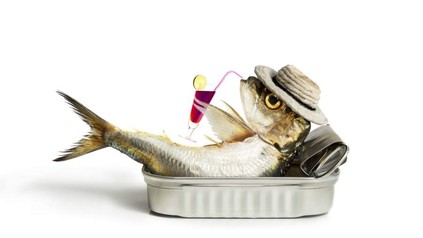 Fisch in Dose mit Hut und Getränk in der Flosse