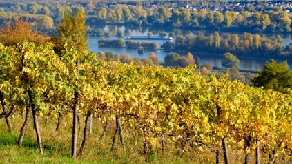 Hessisches Staatsweingut